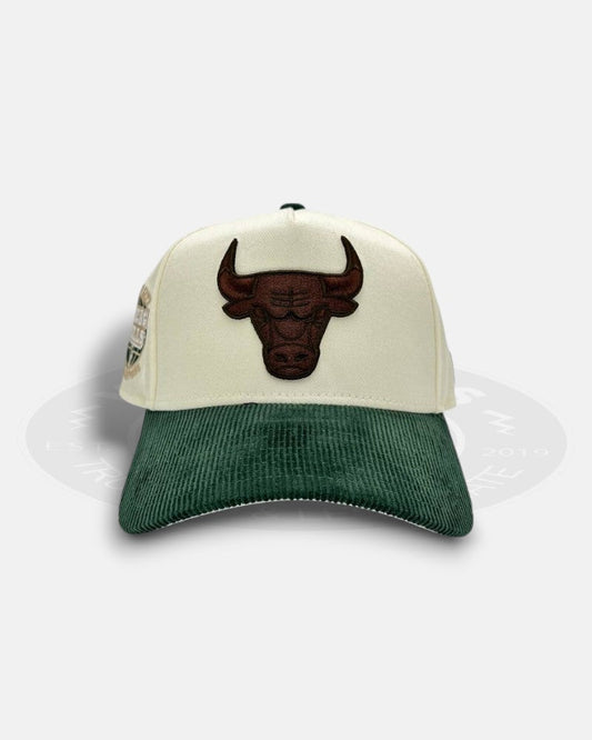 Chicago Bulls Ivory Green Cord Visor 9FORTY A-Frame Snapback Hat